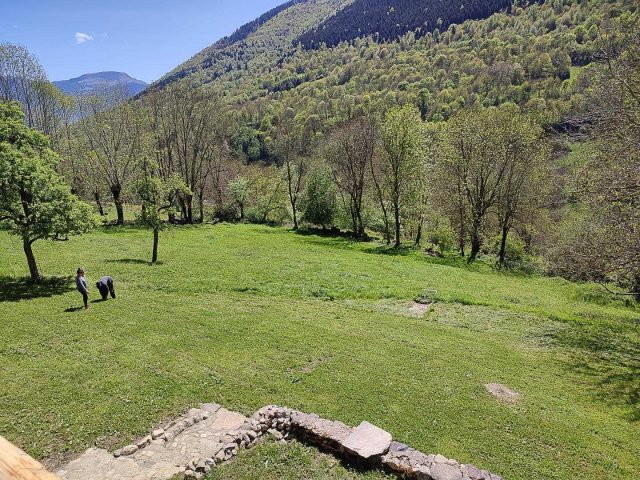 31G101695-8e99ce326ba44085b5f2bdbcd17fc0e8