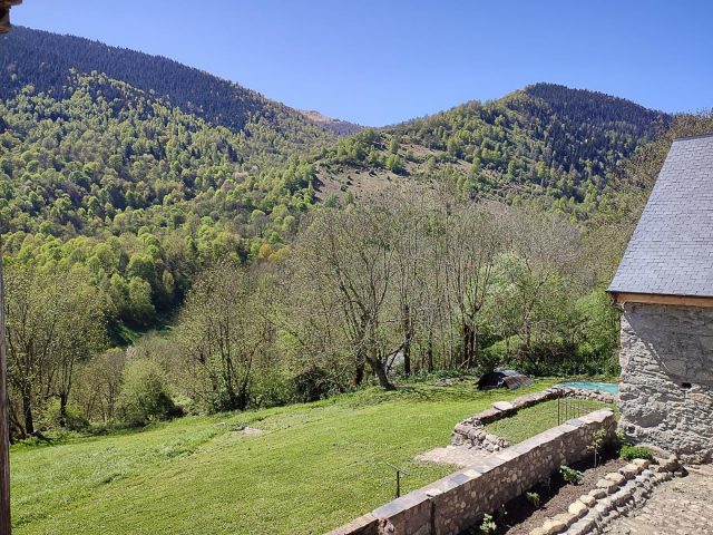 31G101695-b0d05a81161d490daa3f0519b8aa2aa8