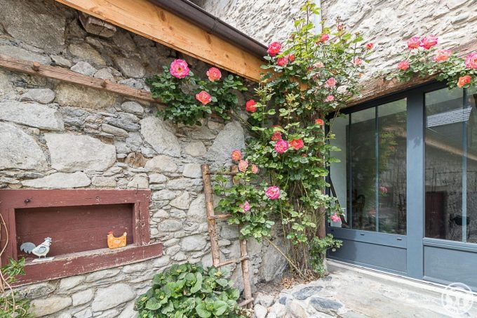 31G101695-ea94e83ff1324565a0b424771479325d