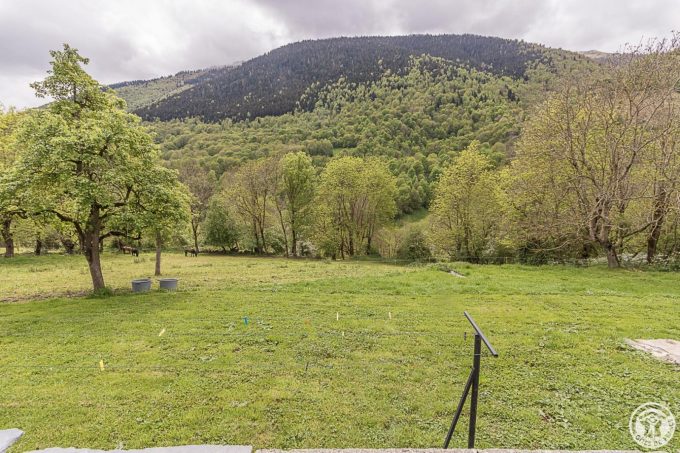 31G101695-f79b538138814bf38fabd95666f19c24