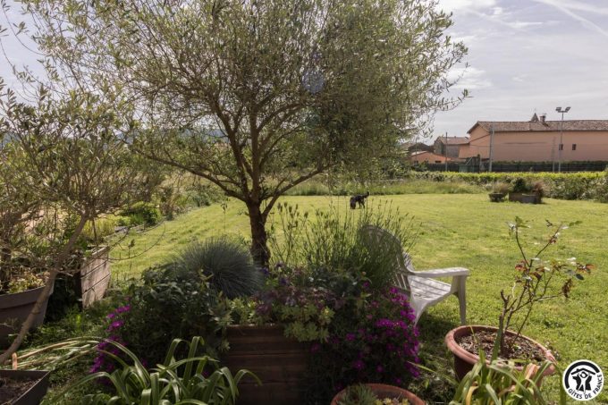 31G101699-047d0743c5db485883500bed174972a1