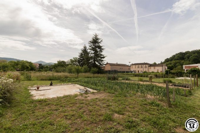 31G101699-50f0bde842014bfd94a95c7ebcf77c3a