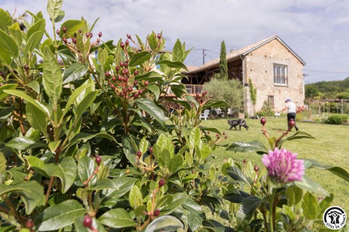 31G101699-70697573241b4dbf931b027c183f4668