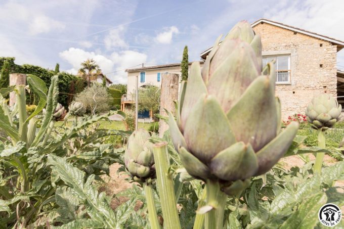 31G101699-8b247bb7bc1d4298829651f67c327c16