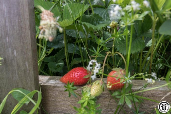 31G101699-ace8423d3e4a480ebec3bbe88aa5bc7c