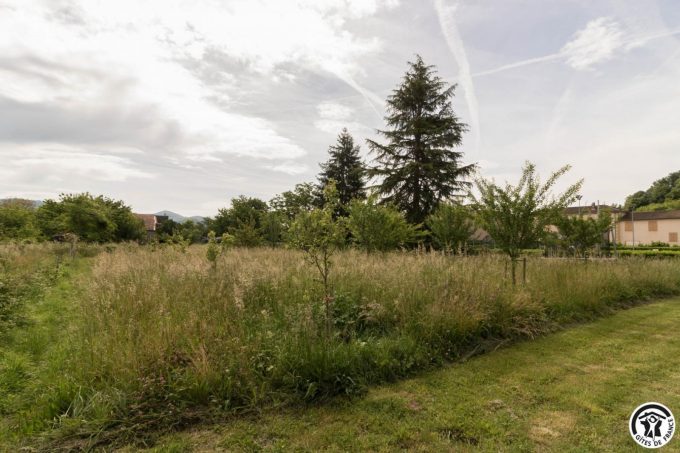 31G101699-b5454a76b8fe4884b11f52ab00428845