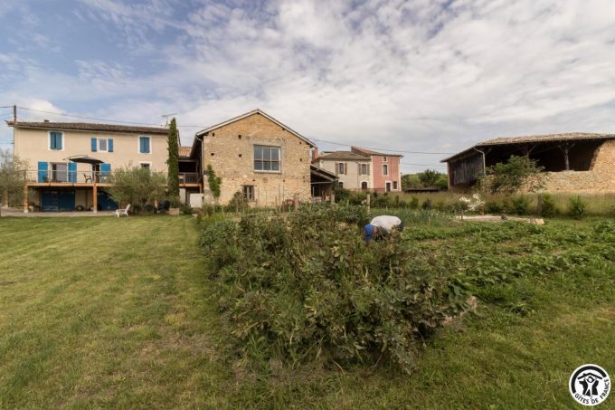 31G101699-d0c77930f64343399a68f64d2f74c1be