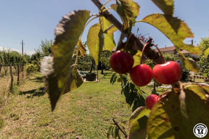 31G101704-39fce68ef44f4a79b9cda7f9b37f46d7