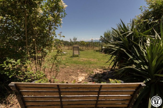 31G101704-480fad8e777449339b1dd91e1afc5741