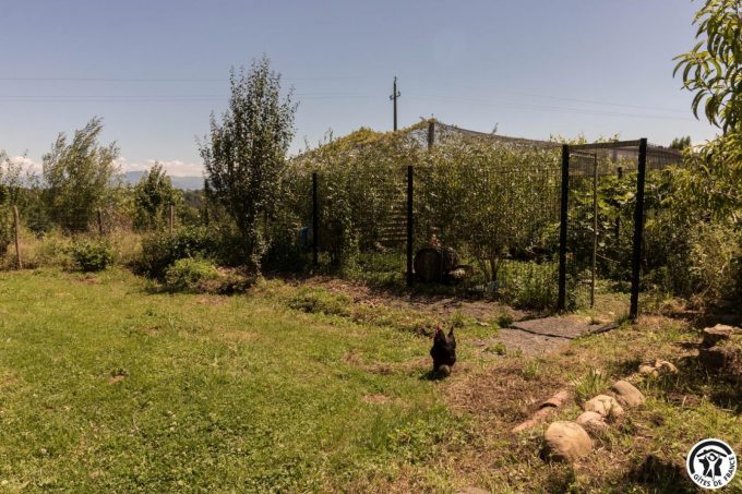 31G101704-5e6e3b75dade48b4859126220aceb4b8