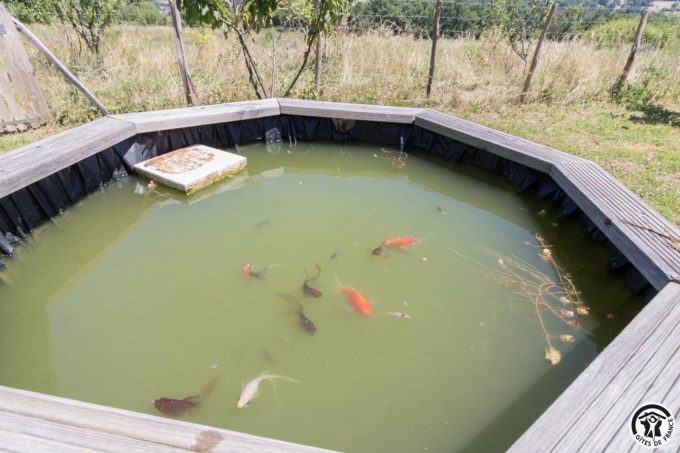 31G101704-64d1e29a0220486896af85d3ed77e28f