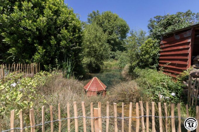 31G101704-82c893b26e5c4b45afd8b414c0d6643d