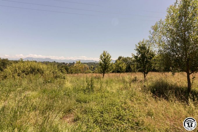 31G101704-943fd078f40d4b6284f4763102237173