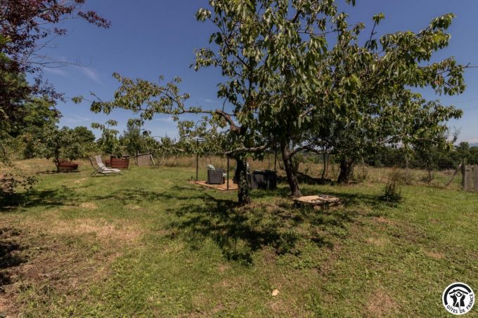 31G101704-c0a8b18f3902485eb548d4d04cb737d2