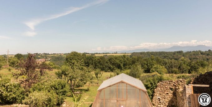 31G101704-c9569999754f4d999505f85ba5349839