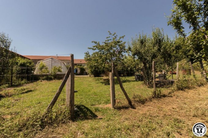 31G101704-ea8e8c2c31474708b865188e6dc6b94e