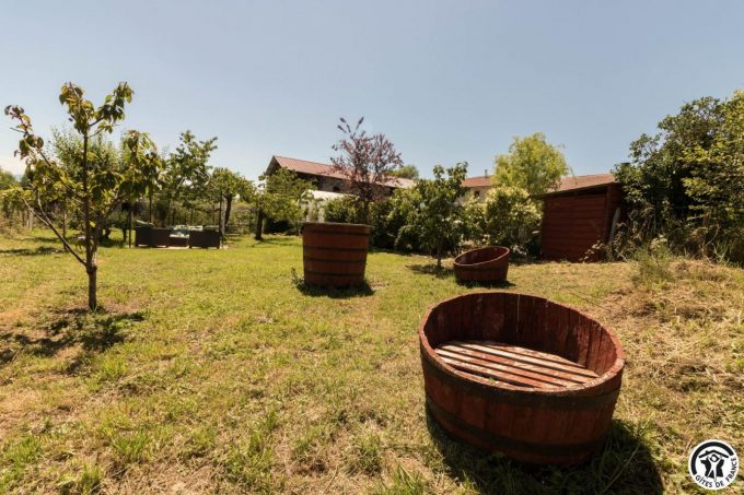 31G101704-f80de6cd50aa4ca0a3870a6c81ce8e7a