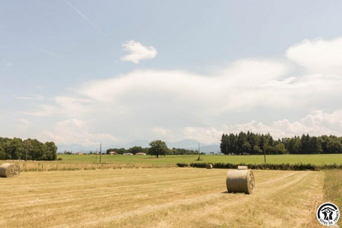 31G101706-13fd0a715e8c4e60b0eedde4e743076f