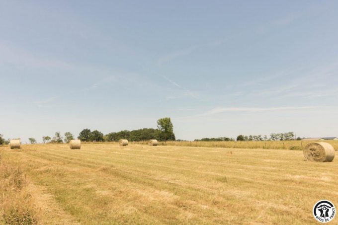 31G101706-25cbed50cf1145498f74fa7b26f88362