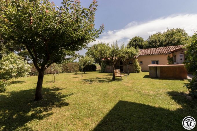 31G101706-31aabca322214ffcba68a31aeb2deedb