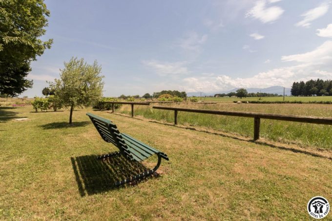 31G101708-1e6a180fa9c84a4aab4306615e55211c