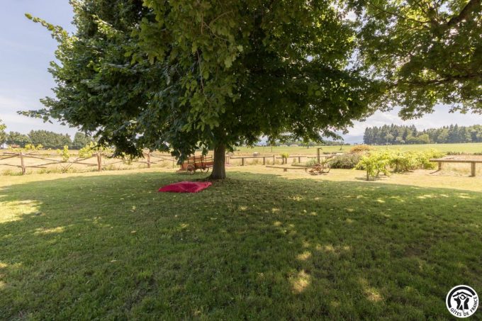 31G101708-fc68d83a0c8e46f69c2fe8860273d95c