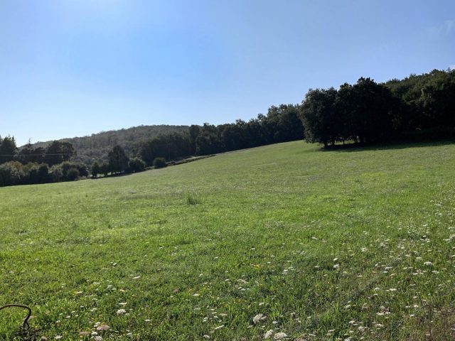 31G101712-ee98cb3c668246a1a3ca4c2c03c71471