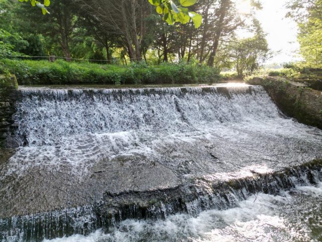 31G101713-d1a1d737e20f4a31ad40372f549453e0