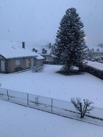 31G101714-75655a77148d45339ae54b292f540921