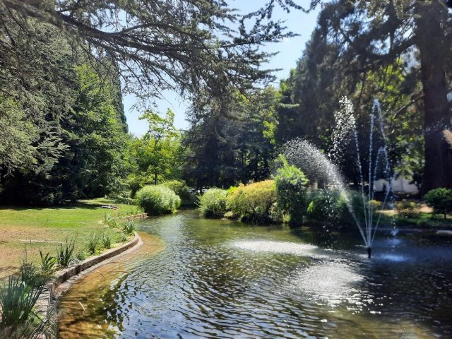 31G101714-9d44a2f7bc2a4fbb9a44a9e454bfbe77