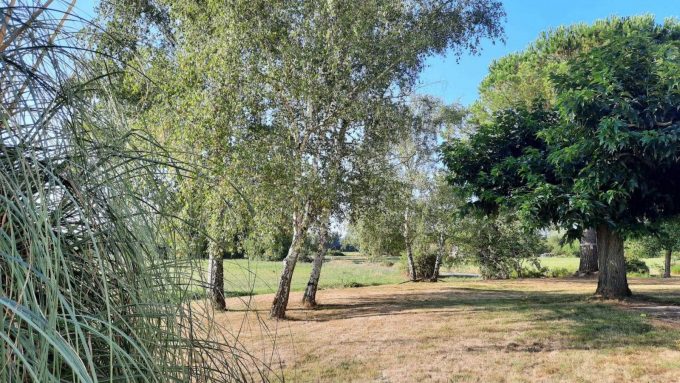 31G101724-b81d4366b8214db1aa5fe292f1e71a73