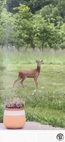 31G101741-023a7f45e36746049f325e907d324dc4