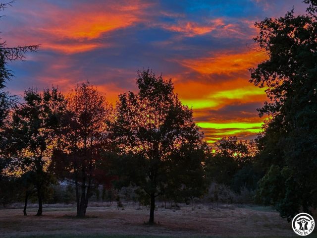 31G101741-1710bb37dccb4336b9794706820c05b1