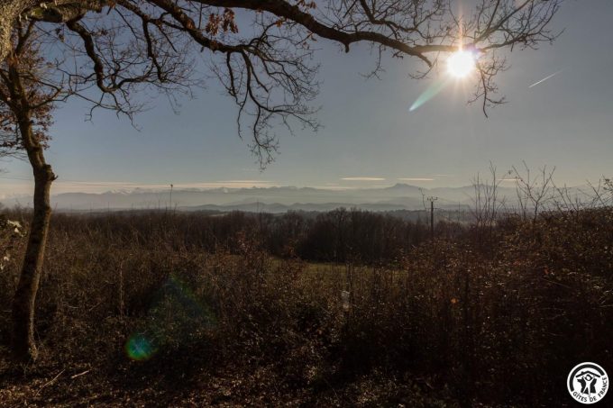 31G101741-2e4785b2b1e8462f8159d8c015067139