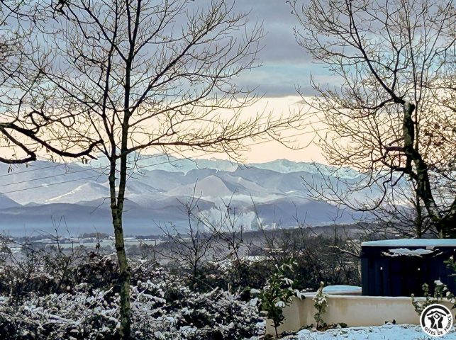 31G101741-3e39cd640ece4ab8aa46457aefafe1ce