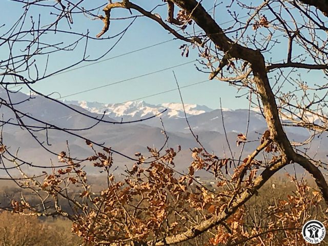 31G101741-7be5605dfe574ca39368b28846109cc0