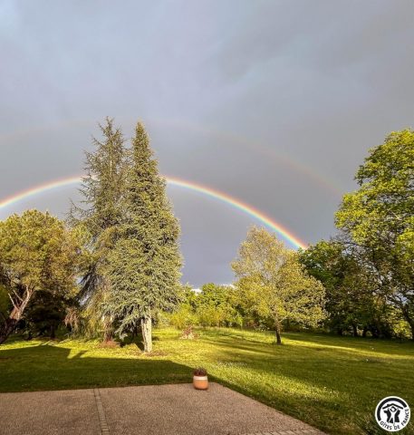 31G101741-b83d8cb91c1849699f68938047923c30