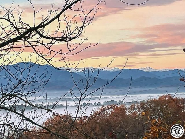 31G101741-e19ceedc139d4a3ba06a534d7c739171