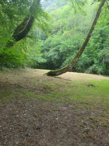 31G101753-1bf205ca58d34fcda98a6149010de8ef