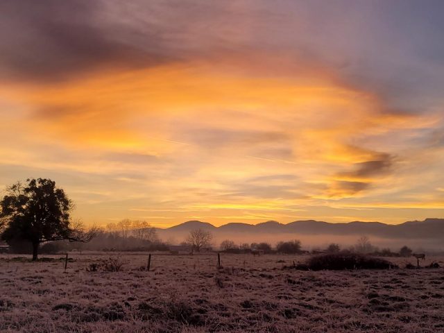 31G101753-20aeda30a9ef47b5959d3306a03e8c20