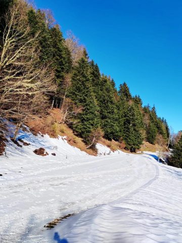 31G101753-5028b83a2daa495e96a9960a6e2feabb