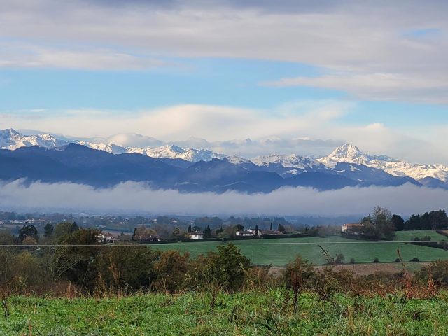 31G101753-581d6a08feae4983b2162248f6055625