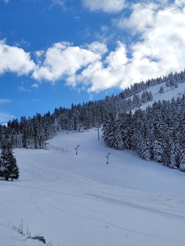 31G101753-78f9dedd7c51403f8e6910ec9f4fa293