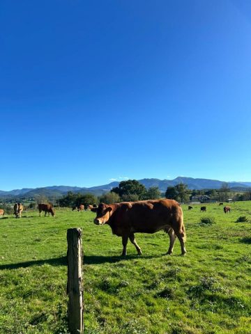 31G101753-7a12639620c4490f991eb9db98e785cf