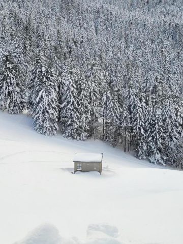 31G101753-971c38dd1129430ba405060c9dcbbf21