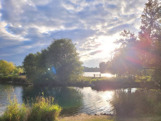 31G101753-a55b99e740054883b4bd922b4fd6d3c5