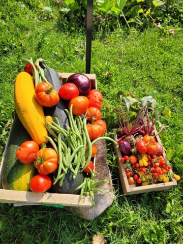 31G101753-b057d10365a34f9dbd704da129190117