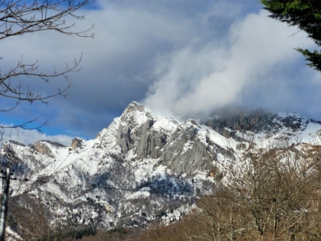 31G101753-e211555431d14de1b8c814231df90431