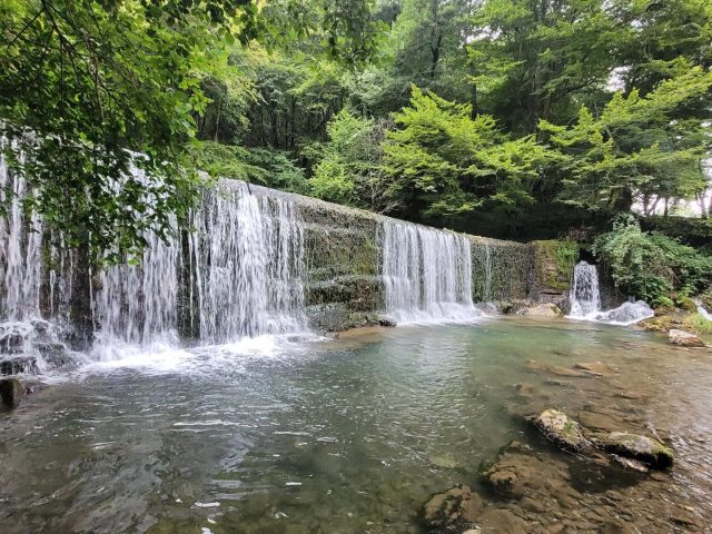 31G101753-e807b2a82b7b44a592d1a11217fff038