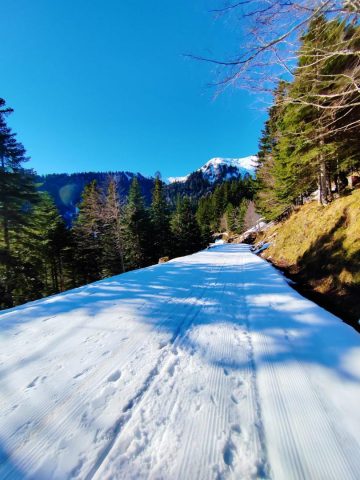 31G101753-e8e6a193c196403db278052d704c96b6